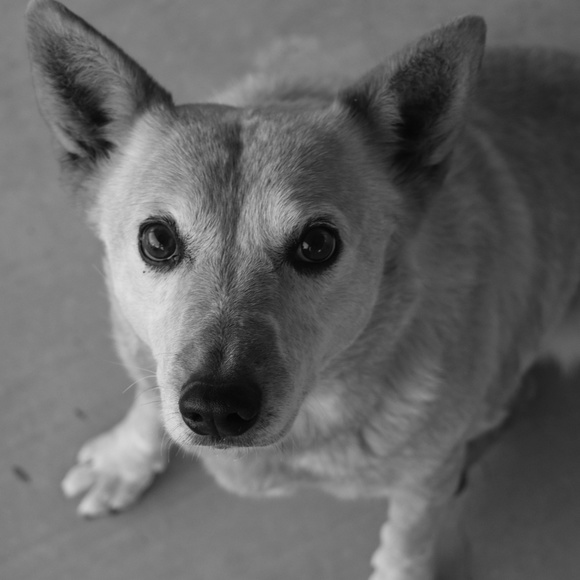 Meet your Posher, Rocio - Picture 1 of 1